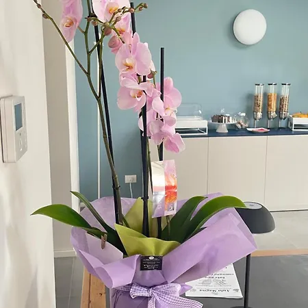 Dimora Delle Province